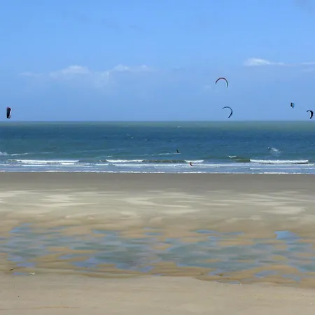 Le Vivier - Vue - Côte D'opale - Baie De - 2caps Wissant