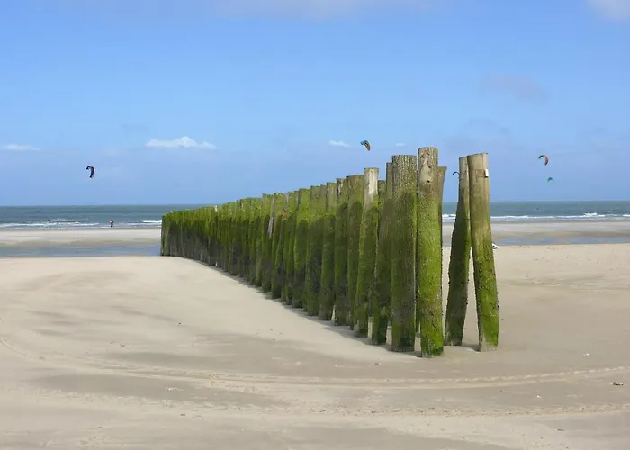 Le Vivier - Vue - Cote D'opale - Baie De - 2caps * Wissant