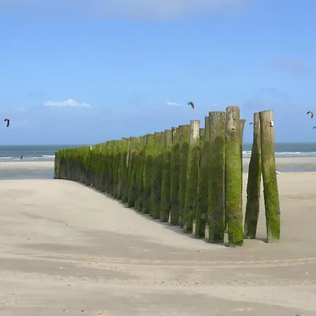 Le Vivier - Vue - Cote D'opale - Baie De - 2caps * Wissant